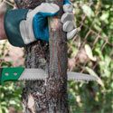 new jersey tree trimming service