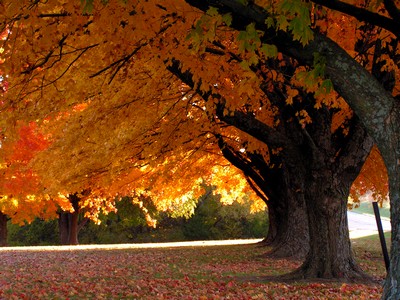 Mendham, NJ