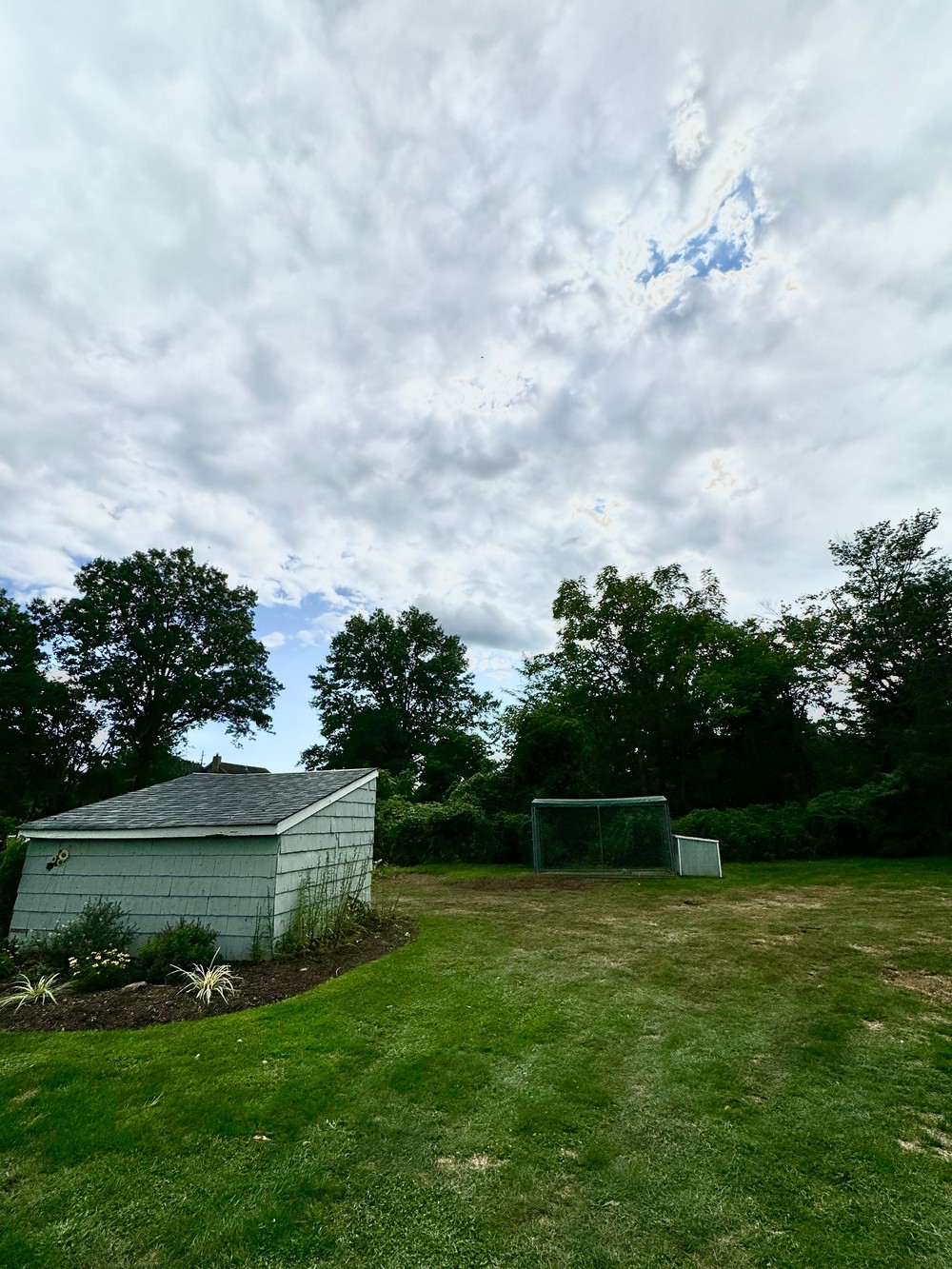 A Reliable, Large Black Walnut Tree Removal in Somerset, NJ