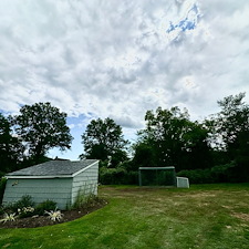 A-Reliable-Large-Black-Walnut-Tree-Removal-in-Somerset-NJ 0