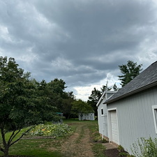 A-Reliable-Large-Black-Walnut-Tree-Removal-in-Somerset-NJ 2