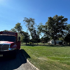 Experienced-Underbrush-Removal-in-Flemington-NJ 0