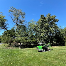 Experienced-Underbrush-Removal-in-Flemington-NJ 1