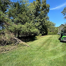 Experienced-Underbrush-Removal-in-Flemington-NJ 3