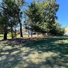 Experienced-Underbrush-Removal-in-Flemington-NJ 4