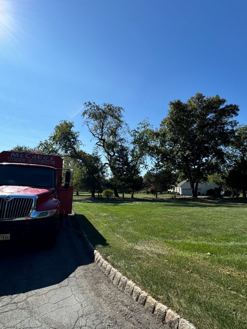 Experienced Underbrush Removal in Flemington, NJ