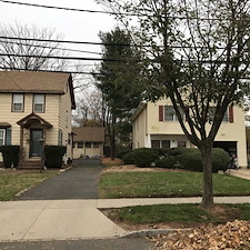 Spruce tree and stump removal somerville nj