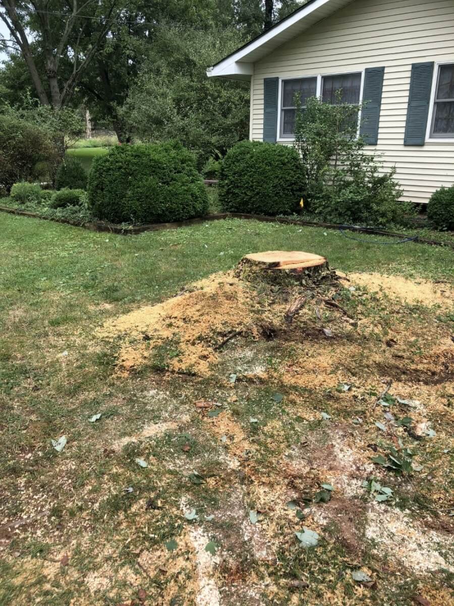 Stump removal. Topsoil, grass seed, and hay. Belle Mead, NJ