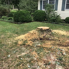 Stump removal topsoil grass seed hay belle mead nj