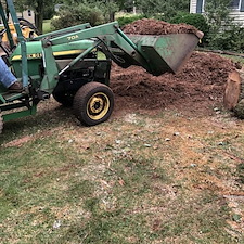 Stump removal topsoil grass seed hay belle mead nj