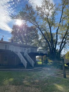 Successful Silver Maple Tree Removal in Hillsborough, NJ