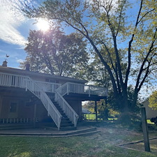 Silver maple tree removal hillsborough nj after