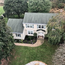 Tree pruning shaping hillsborough nj