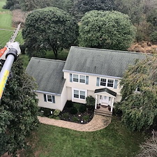 Tree pruning shaping hillsborough nj