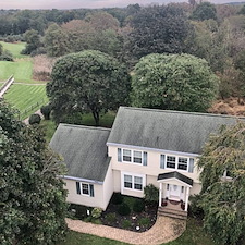 Tree pruning shaping hillsborough nj