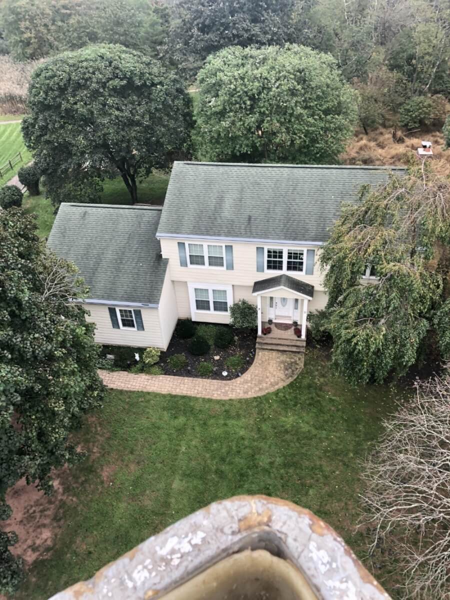 Tree pruning and shaping in front and back of the house, Hillsborough NJ