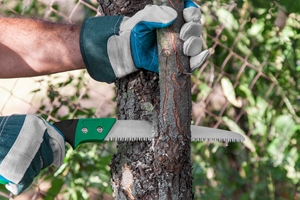 Tree Maintenance