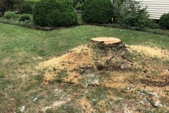 stump-removal-topsoil-grass-seed-hay-belle-mead-nj-001