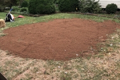 stump-removal-topsoil-grass-seed-hay-belle-mead-nj-004