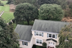 Tree Pruning and Shaping in Hillsborough, NJ