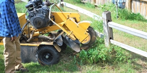 stump removal new jersey