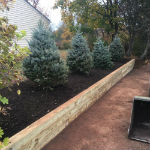 Retaining Wall and Blue Spruce Trees in Hillsborough, NJ