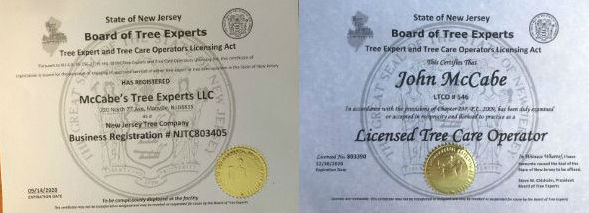 License and Business Registration Certificates